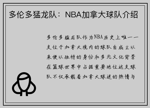 多伦多猛龙队：NBA加拿大球队介绍